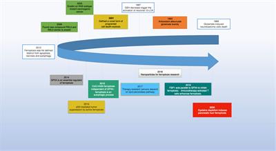 Deciphering the link: ferroptosis and its role in glioma